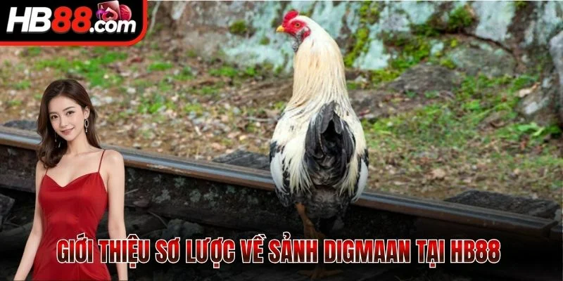 Giới thiệu sơ lược về sảnh Digmaan tại HB88 