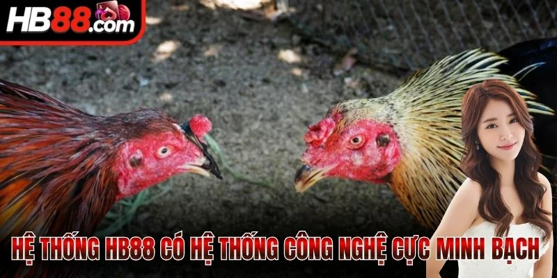 Hệ thống HB88 có hệ thống công nghệ cực minh bạch 