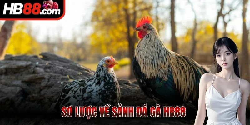 Sơ lược về sảnh đá gà HB88 